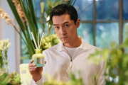 杨紫胡歌主演新剧生命树官宣，青春励志题材引期待！