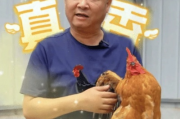 三德子赵亮匠心独运，打造德子土土鸡品牌，传承乡村美味