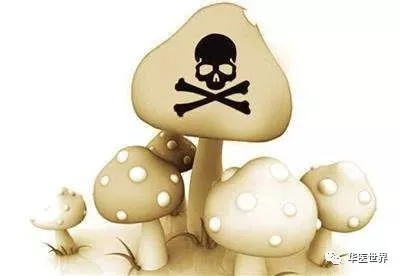 险象环生！男子误食超致死量5倍毒蘑菇，紧急救援挽回生命线