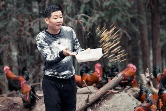 前央视主持人华丽转身，养鸡事业风生水起，揭秘养鸡背后的故事