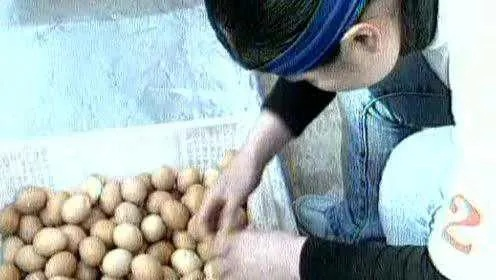 女子创纪录，1分钟剥130个煮鸡蛋，剥蛋技艺惊人！
