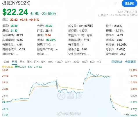 极氪或将从美国纽交所退市，市场动态与影响分析