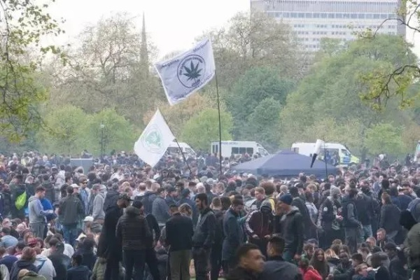 土耳其警方引发争议，露天焚烧20吨大麻，背后原因引人深思