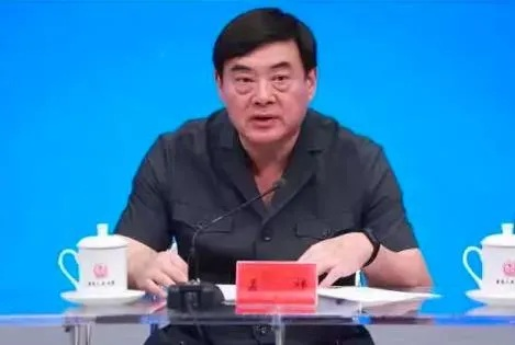 中央巡视组进驻后，童亚辉主动投案，揭开腐败案件新篇章