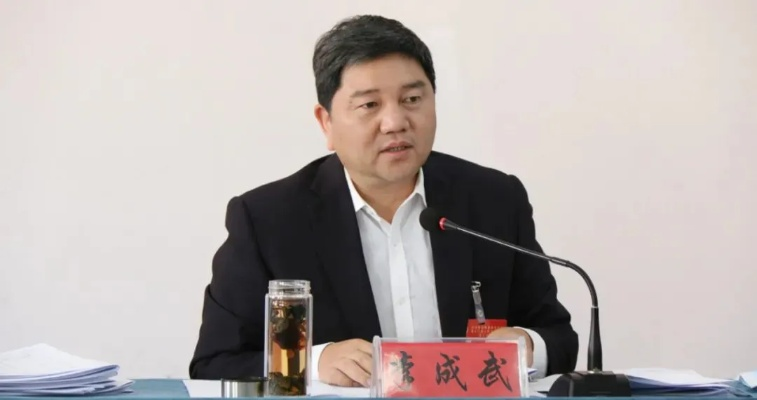 正厅级官员李成武主动投案，展现反腐倡廉决心