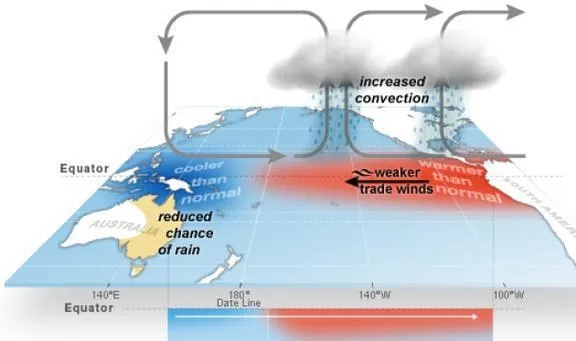 此轮大范围高温天气成因探析，气候变暖与大气环流共同作用