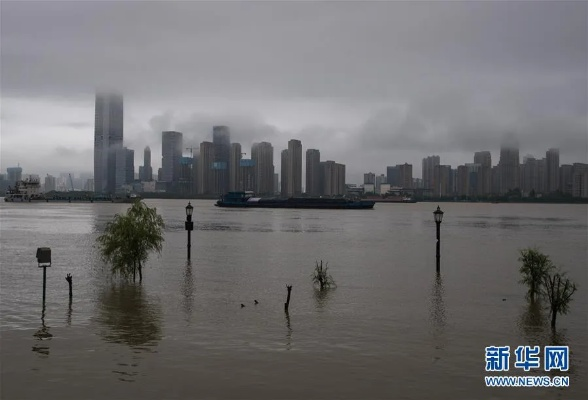 武汉连发7条暴雨预警！城市应急响应全面启动，全力保障市民安全