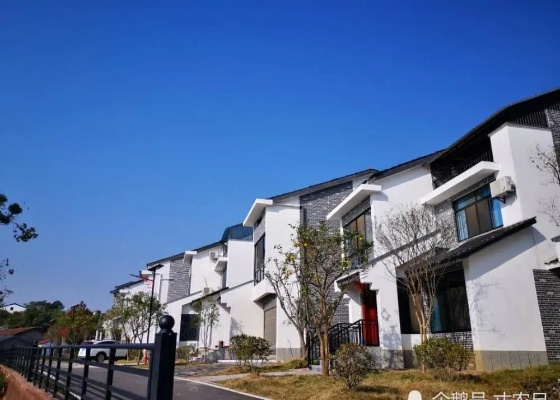 山东一村免费为适龄青年分配楼房，谱写乡村振兴新篇章